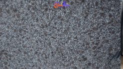 1.Đá Granite Tím Hoa Cà