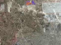 Đá Marble Savana-grey