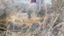 Đá Marble Vàng rễ cây