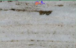 Đá Marble Perlato